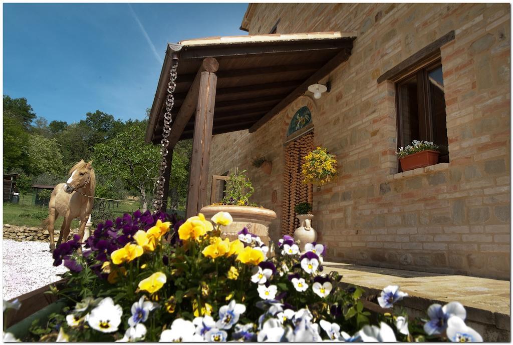 Il Casale Di Aurora Country House Colmurano Exterior photo